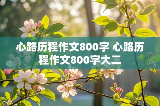 心路历程作文800字 心路历程作文800字大二