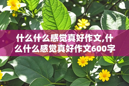 什么什么感觉真好作文,什么什么感觉真好作文600字