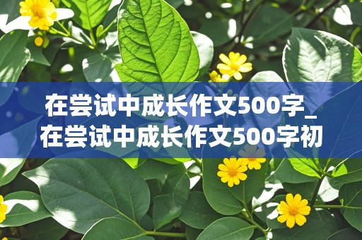 在尝试中成长作文500字_在尝试中成长作文500字初中