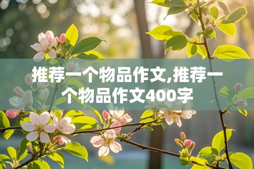 推荐一个物品作文,推荐一个物品作文400字