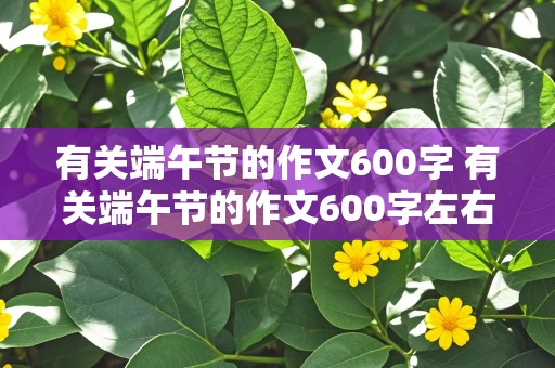 有关端午节的作文600字 有关端午节的作文600字左右