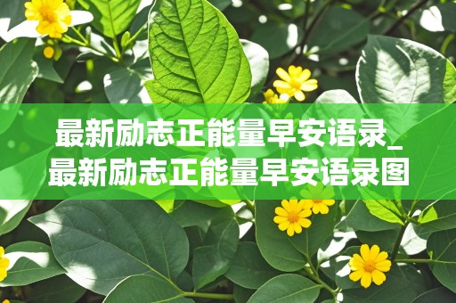 最新励志正能量早安语录_最新励志正能量早安语录图片