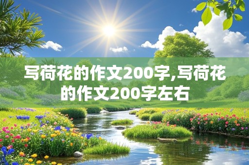 写荷花的作文200字,写荷花的作文200字左右