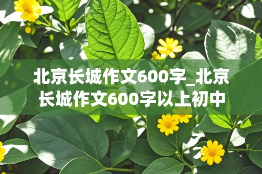 北京长城作文600字_北京长城作文600字以上初中