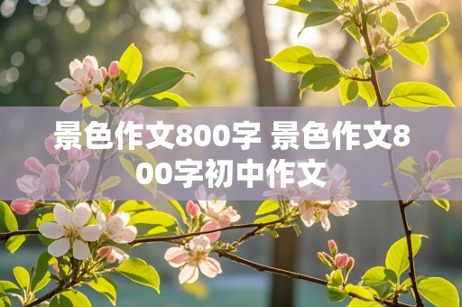 景色作文800字 景色作文800字初中作文