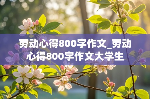 劳动心得800字作文_劳动心得800字作文大学生