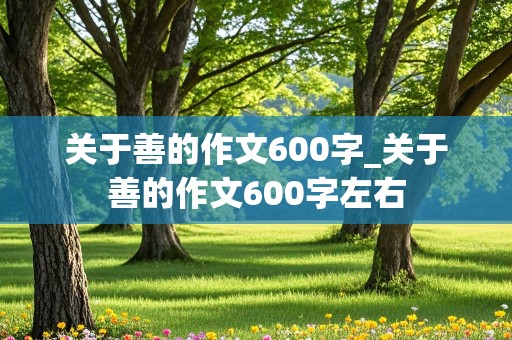 关于善的作文600字_关于善的作文600字左右