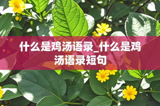 什么是鸡汤语录_什么是鸡汤语录短句