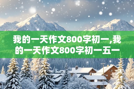 我的一天作文800字初一,我的一天作文800字初一五一假期