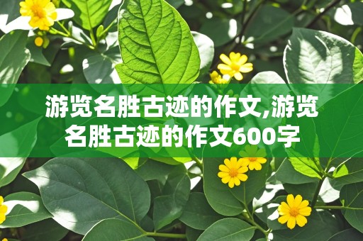 游览名胜古迹的作文,游览名胜古迹的作文600字