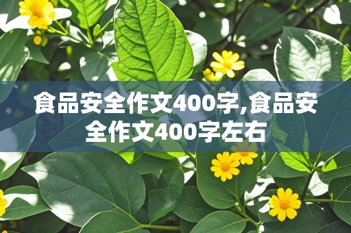 食品安全作文400字,食品安全作文400字左右