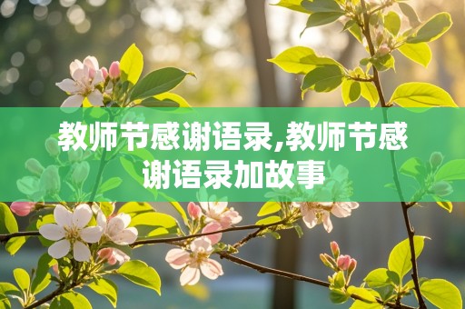 教师节感谢语录,教师节感谢语录加故事