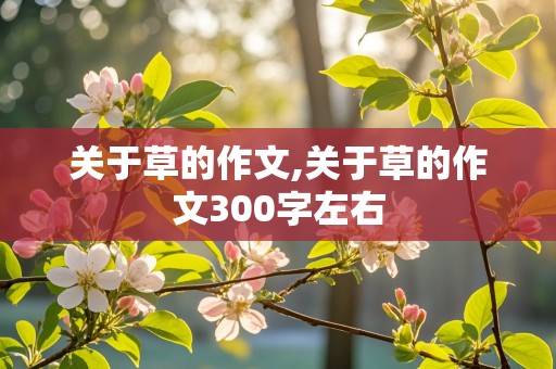 关于草的作文,关于草的作文300字左右