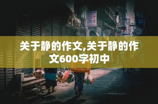 关于静的作文,关于静的作文600字初中