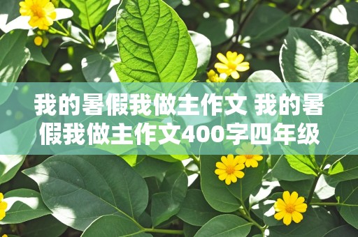 我的暑假我做主作文 我的暑假我做主作文400字四年级