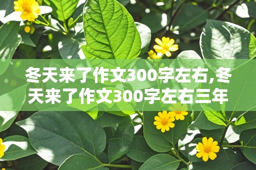 冬天来了作文300字左右,冬天来了作文300字左右三年级