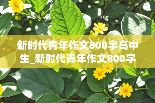 新时代青年作文800字高中生_新时代青年作文800字高中生议论文