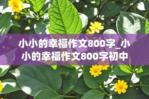 小小的幸福作文800字_小小的幸福作文800字初中