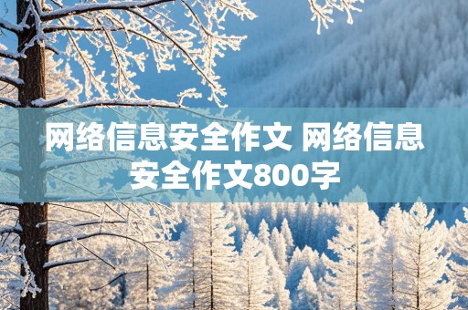 网络信息安全作文 网络信息安全作文800字