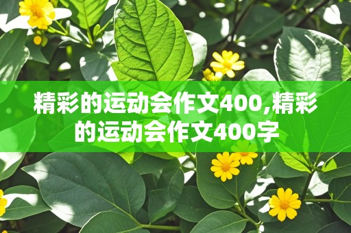 精彩的运动会作文400,精彩的运动会作文400字