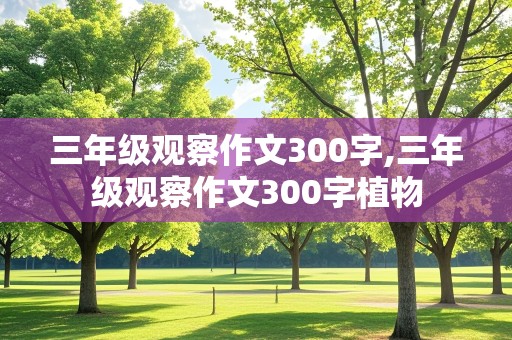 三年级观察作文300字,三年级观察作文300字植物