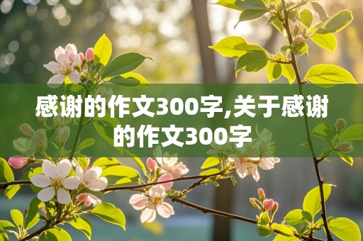 感谢的作文300字,关于感谢的作文300字