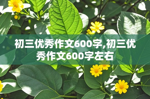 初三优秀作文600字,初三优秀作文600字左右