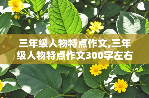 三年级人物特点作文,三年级人物特点作文300字左右