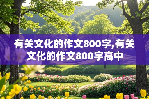 有关文化的作文800字,有关文化的作文800字高中