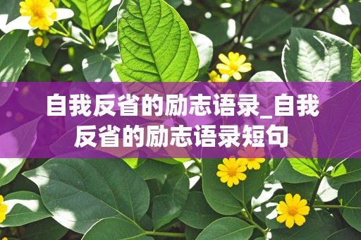 自我反省的励志语录_自我反省的励志语录短句