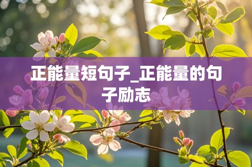 正能量短句子_正能量的句子励志