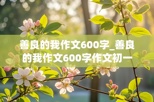 善良的我作文600字_善良的我作文600字作文初一