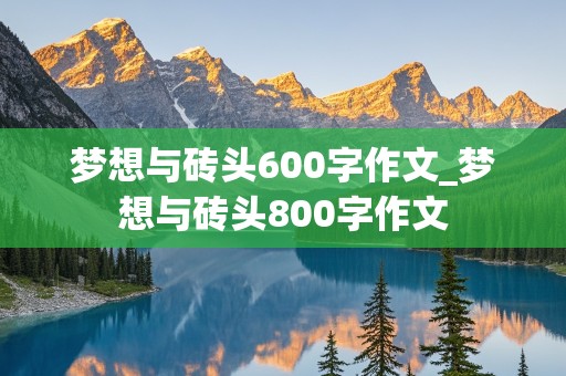 梦想与砖头600字作文_梦想与砖头800字作文