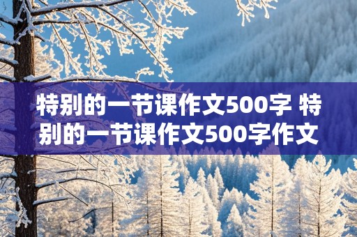 特别的一节课作文500字 特别的一节课作文500字作文