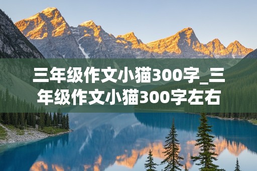 三年级作文小猫300字_三年级作文小猫300字左右