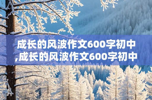 成长的风波作文600字初中,成长的风波作文600字初中生