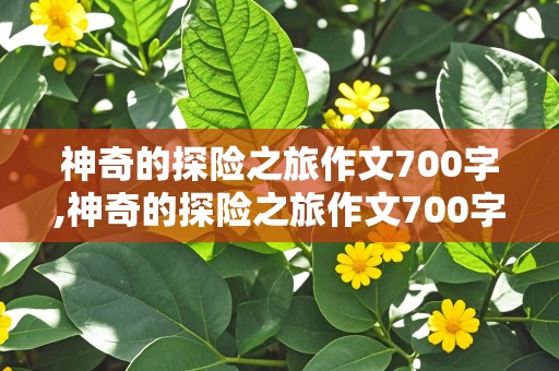 神奇的探险之旅作文700字,神奇的探险之旅作文700字热带雨林