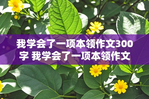 我学会了一项本领作文300字 我学会了一项本领作文300字三年级