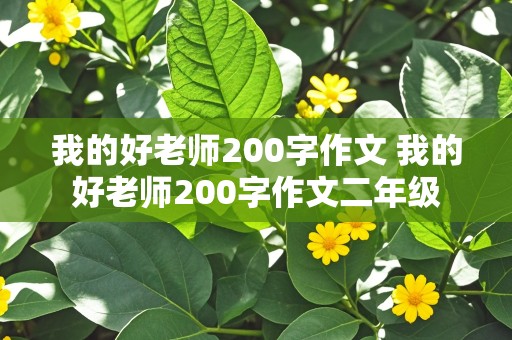 我的好老师200字作文 我的好老师200字作文二年级