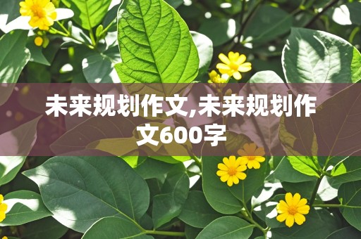 未来规划作文,未来规划作文600字