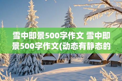 雪中即景500字作文 雪中即景500字作文(动态有静态的)