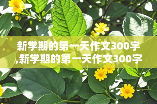 新学期的第一天作文300字,新学期的第一天作文300字怎么写