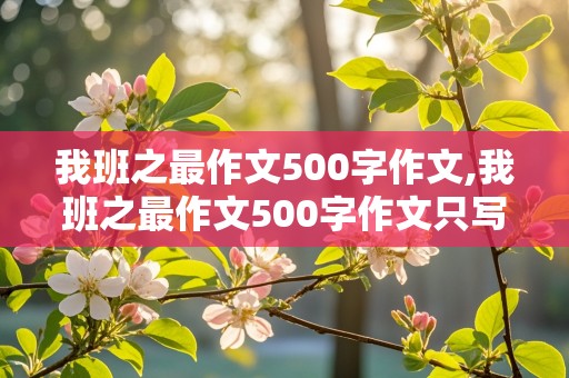 我班之最作文500字作文,我班之最作文500字作文只写一个人