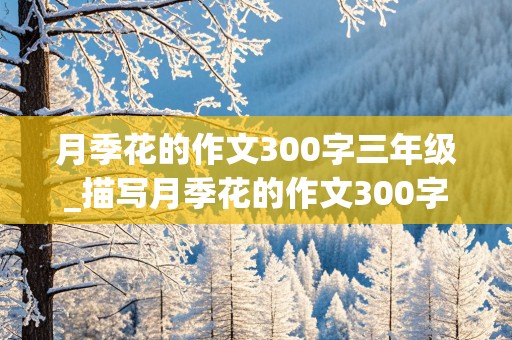 月季花的作文300字三年级_描写月季花的作文300字三年级