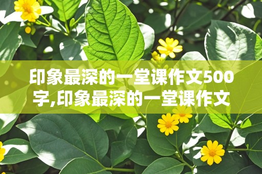 印象最深的一堂课作文500字,印象最深的一堂课作文500字初中