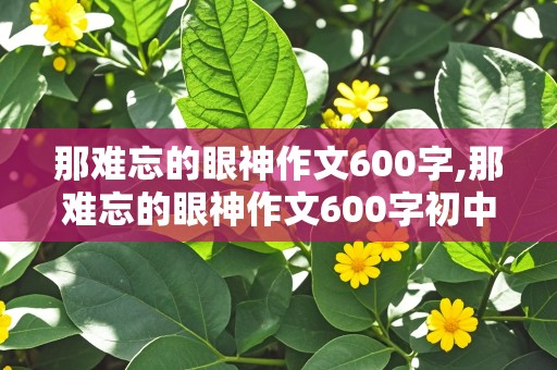 那难忘的眼神作文600字,那难忘的眼神作文600字初中