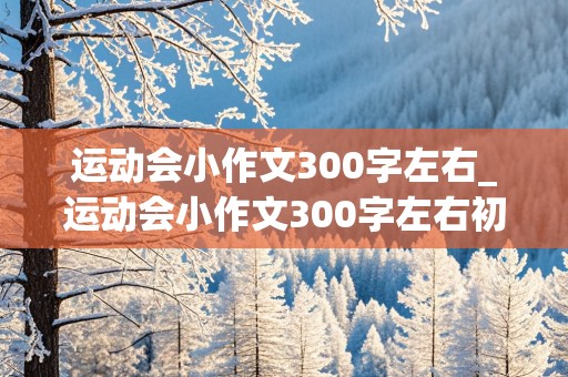 运动会小作文300字左右_运动会小作文300字左右初中