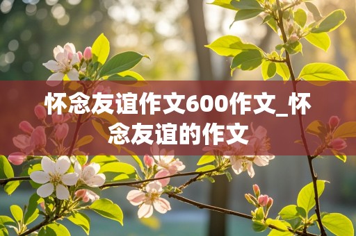 怀念友谊作文600作文_怀念友谊的作文