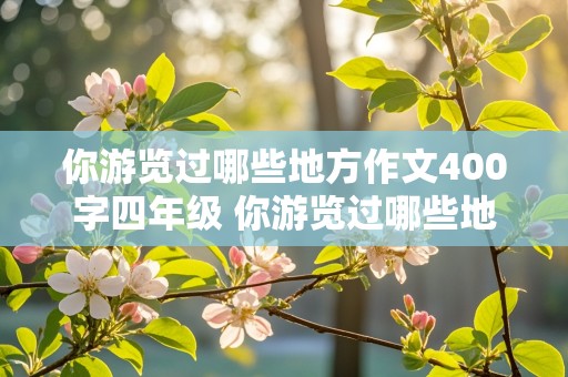 你游览过哪些地方作文400字四年级 你游览过哪些地方作文400字四年级湖南的小区