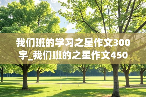 我们班的学习之星作文300字_我们班的之星作文450字